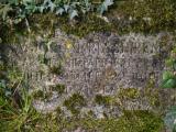 image of grave number 829700